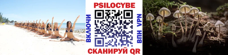 Галлюциногенные грибы Magic Shrooms  Новое Девяткино 